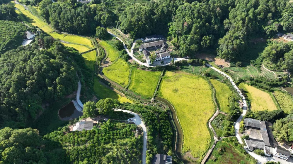 巴南天星寺镇：家训“走”下墙 乡村“活”起来